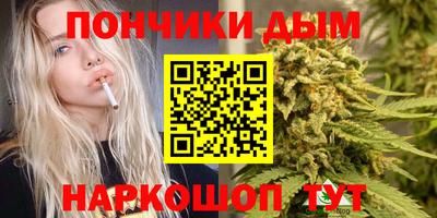 гидра Краснознаменск
