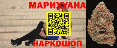 гидра Краснознаменск