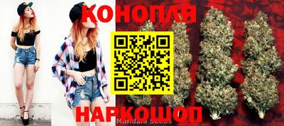мяу мяу мука Краснокаменск
