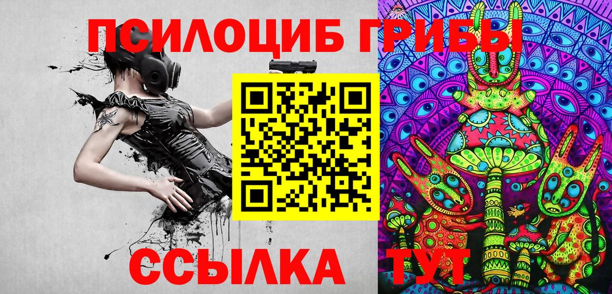 Галлюциногенные грибы Cubensis  Вход с VPN  Галлюциногенные грибы прущие грибы  Королёв 