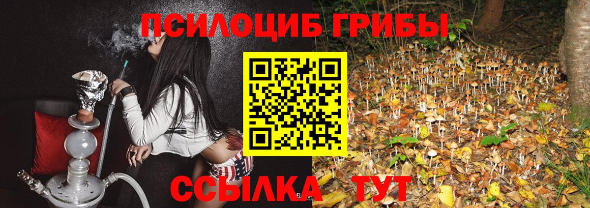 Галлюциногенные грибы GOLDEN TEACHER Королёв